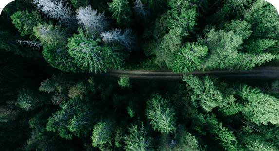 天城山に登山道の現状を調査、山とも会からの協力を提案